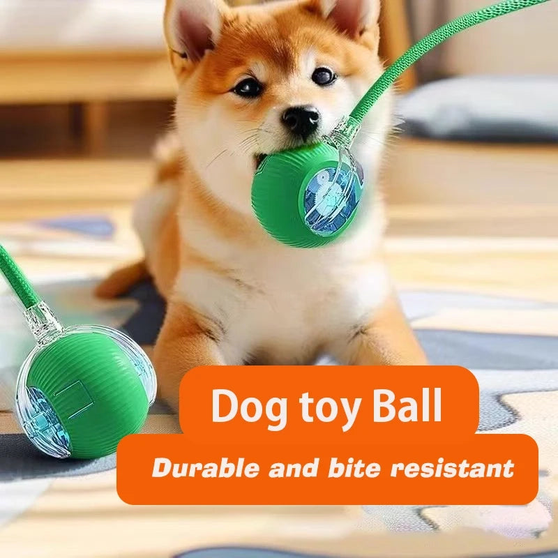Smart Rolling Dog Ball — Automatic Interactive Toy