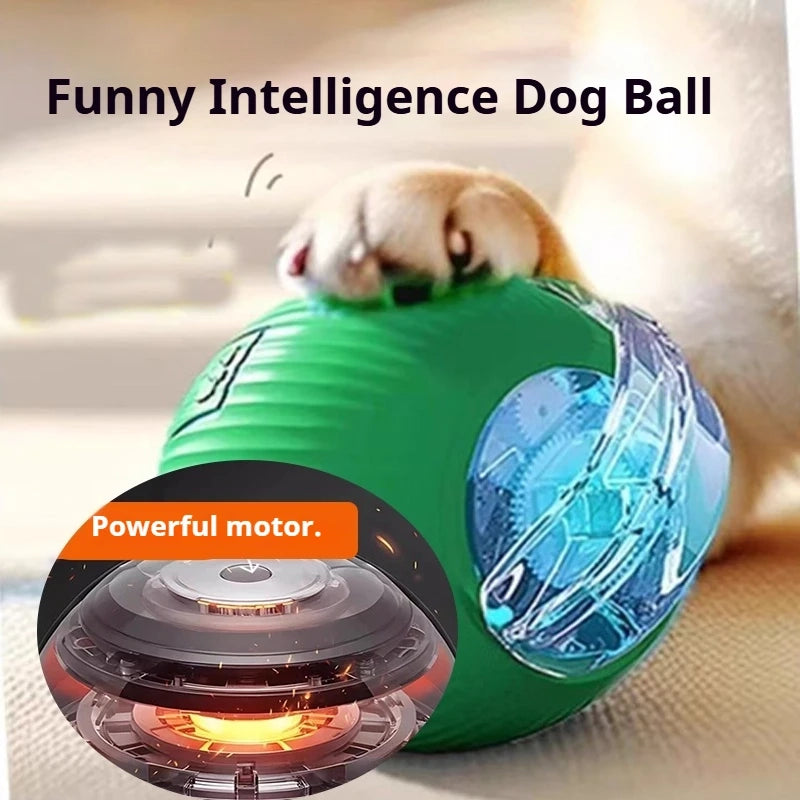 Smart Rolling Dog Ball — Automatic Interactive Toy