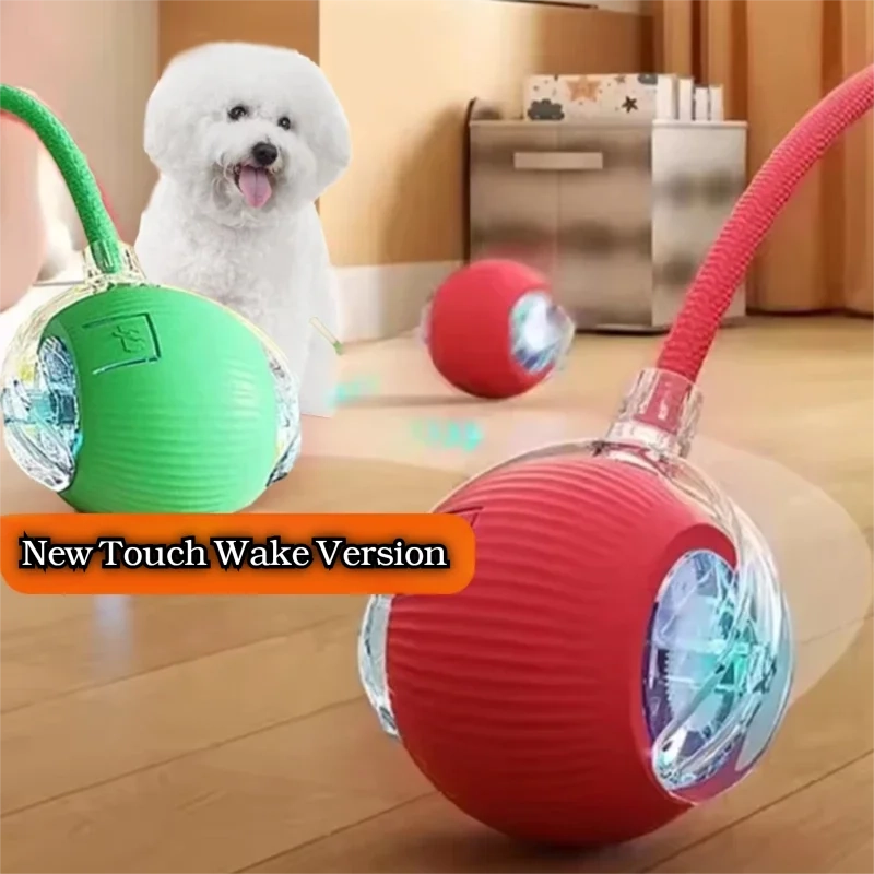 Smart Rolling Dog Ball — Automatic Interactive Toy