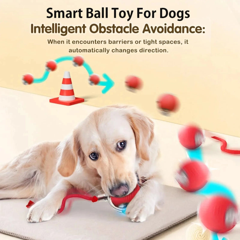 Smart Rolling Dog Ball — Automatic Interactive Toy