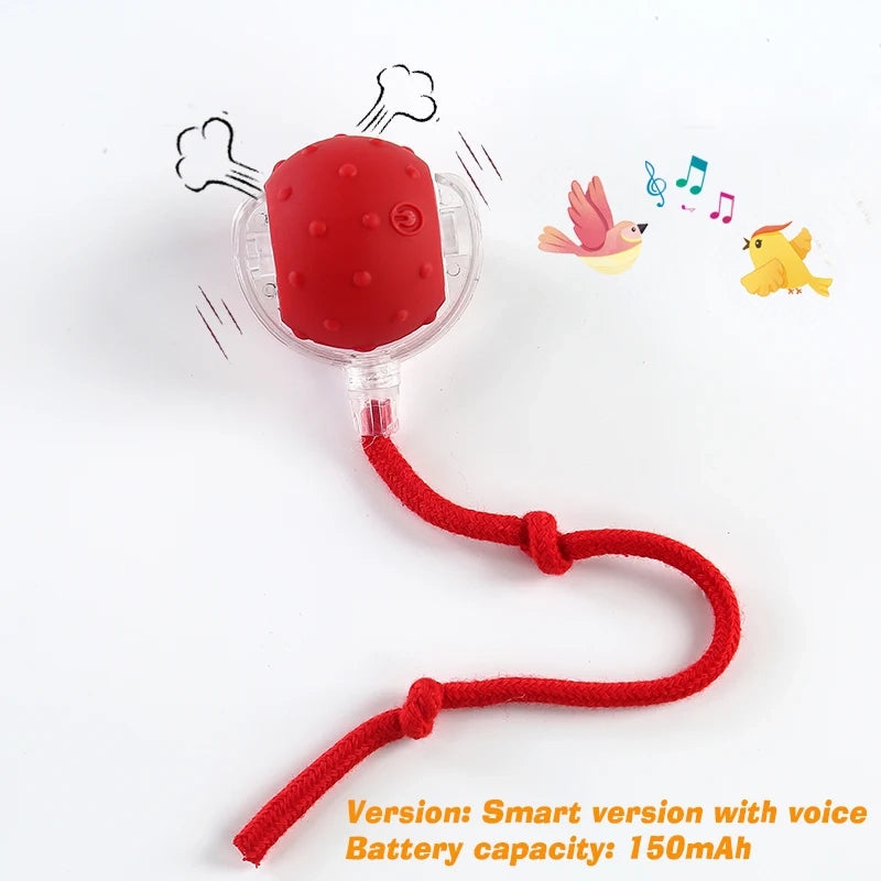 Smart Rolling Dog Ball — Automatic Interactive Toy