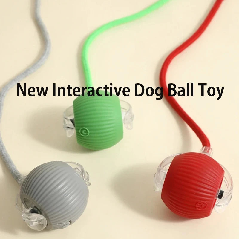 Smart Rolling Dog Ball — Automatic Interactive Toy